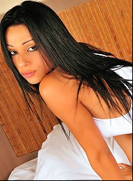 Sammy Shemales